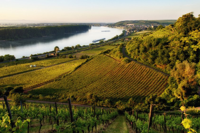 Weingut Gröhl Rheinhessen